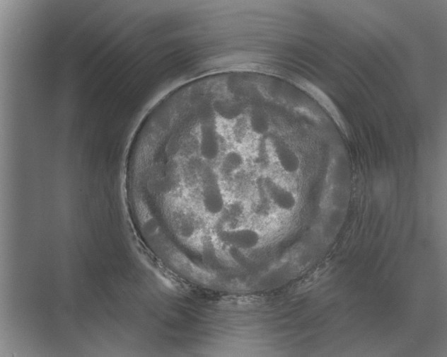 X0000074011051200609181829