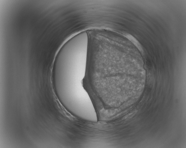 X0000074011052200609181829