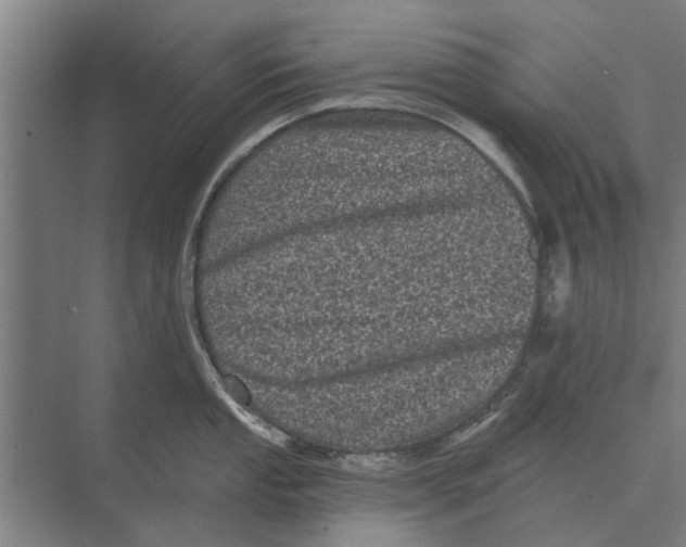 X0000074011053200609181829