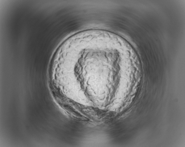 X0000074011056200609181829