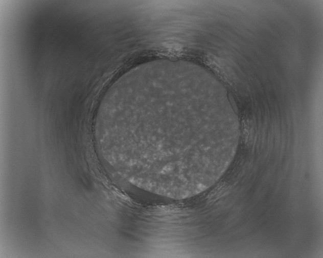 X0000074011057200609181828