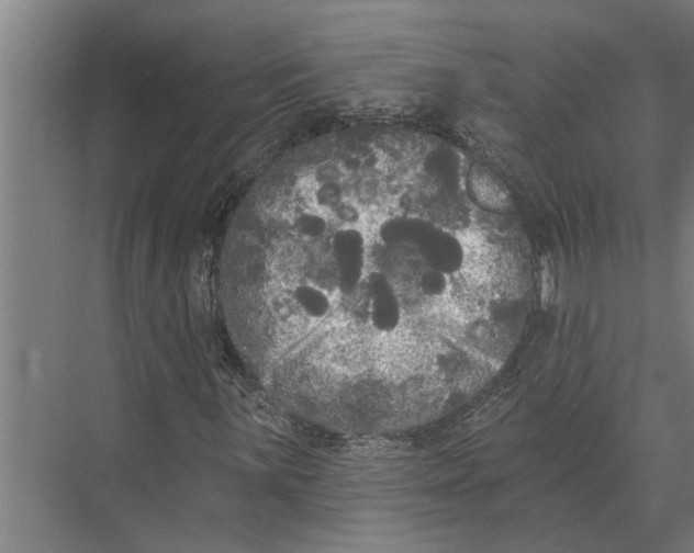 X0000074011059200609181828