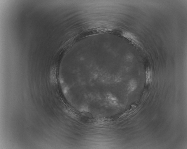 X0000074011060200609181828