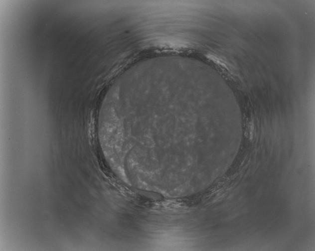 X0000074011061200609181828