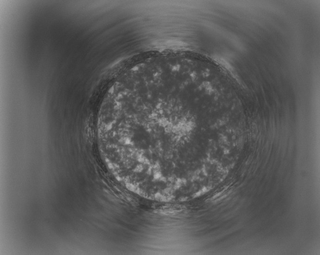 X0000074011063200609181828