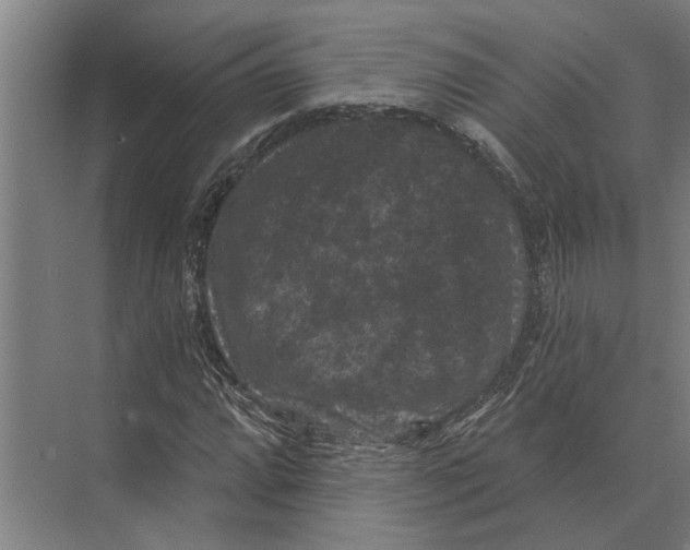 X0000074011064200609181828