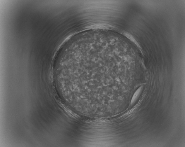 X0000074011067200609181828