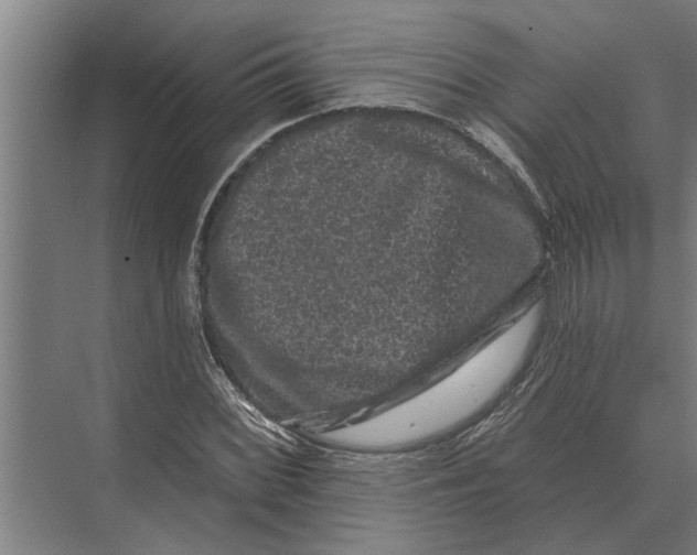 X0000074011068200609181828