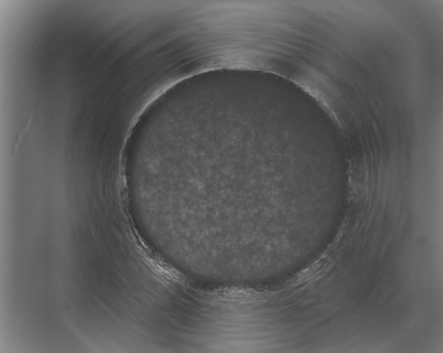 X0000074011070200609181828