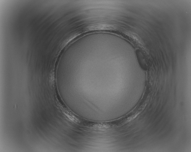 X0000074011073200609181828