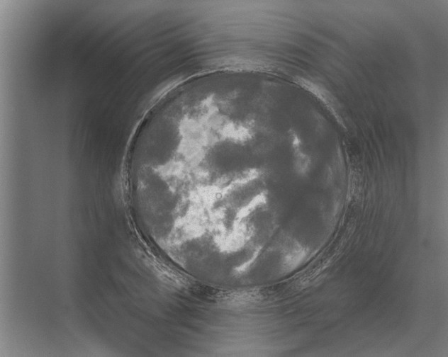 X0000074011074200609181828