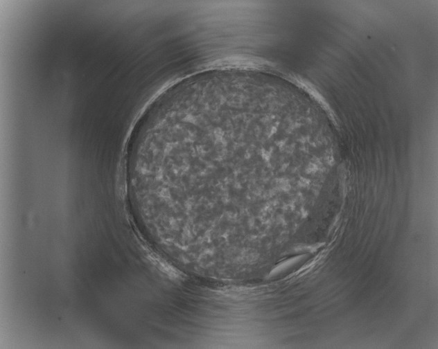 X0000074011075200609181828