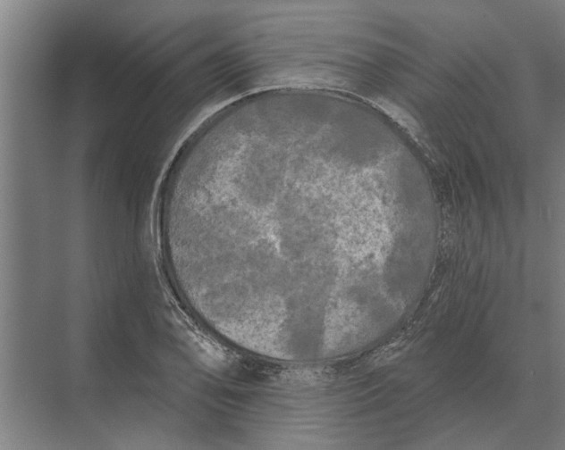 X0000074011078200609181828