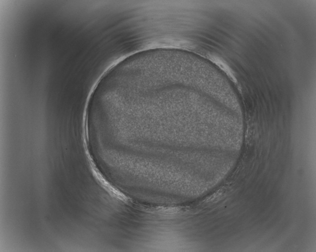 X0000074011080200609181828