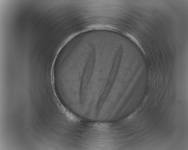 X0000074011082200609181828