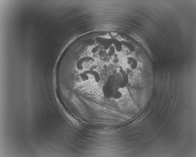 X0000074011083200609181828