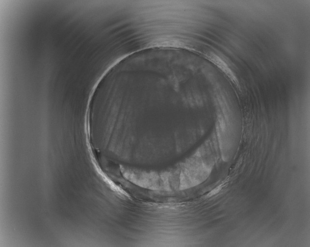 X0000074011084200609181828