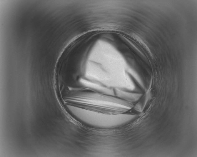 X0000074011085200609181828