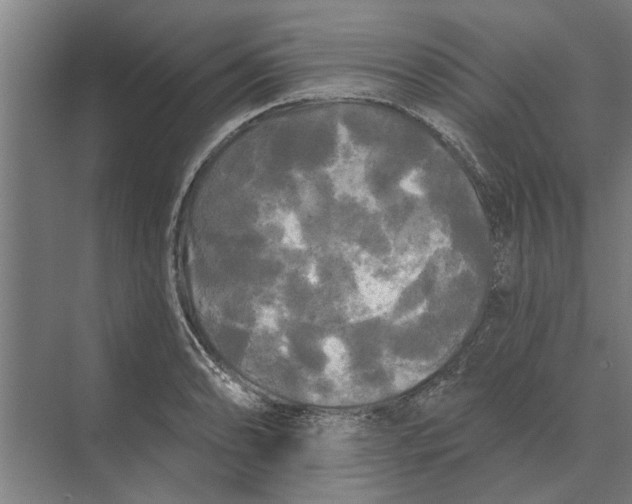 X0000074011086200609181828