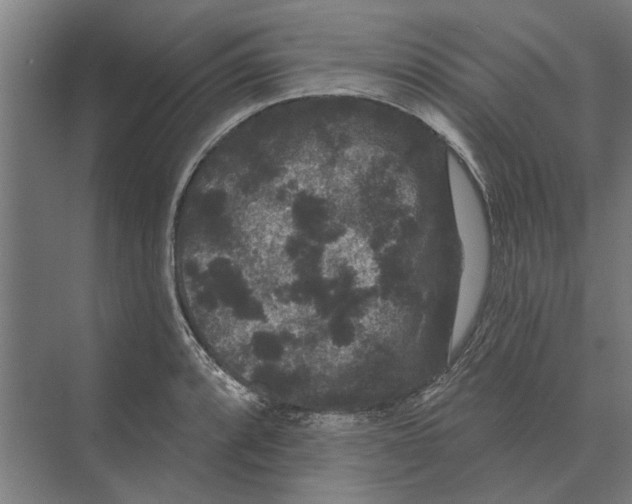 X0000074011088200609181828