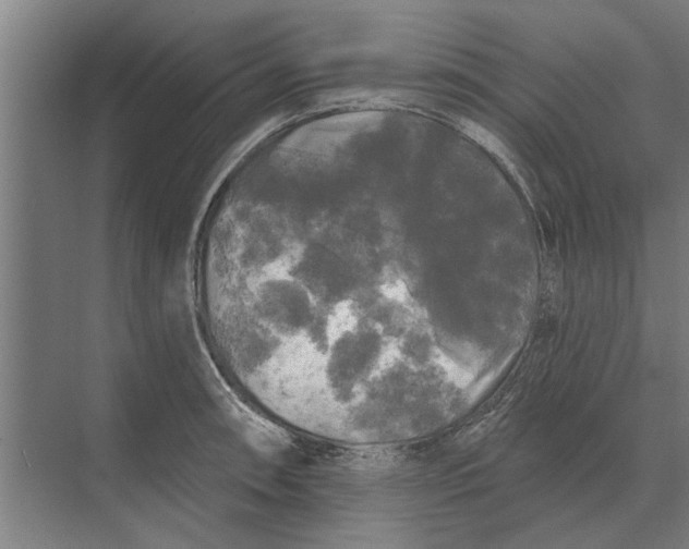 X0000074011090200609181828