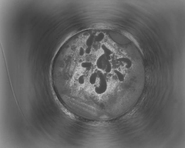 X0000074011091200609181828