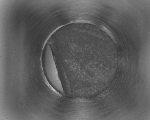 X0000074011092200609181828