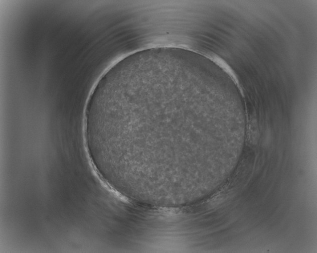 X0000074011096200609181828