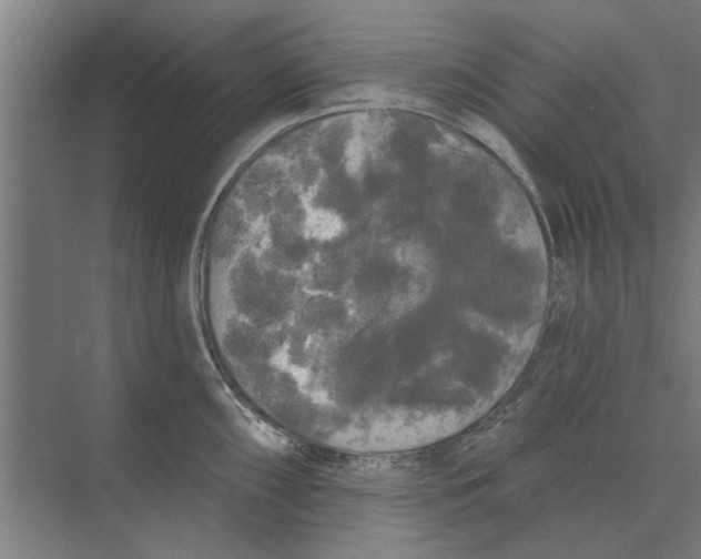 X0000074011098200609181828