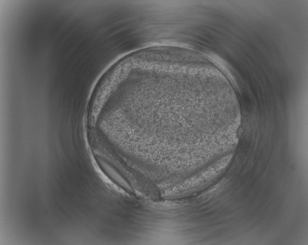 X0000074011100200609181828