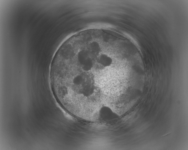 X0000074011103200609181828