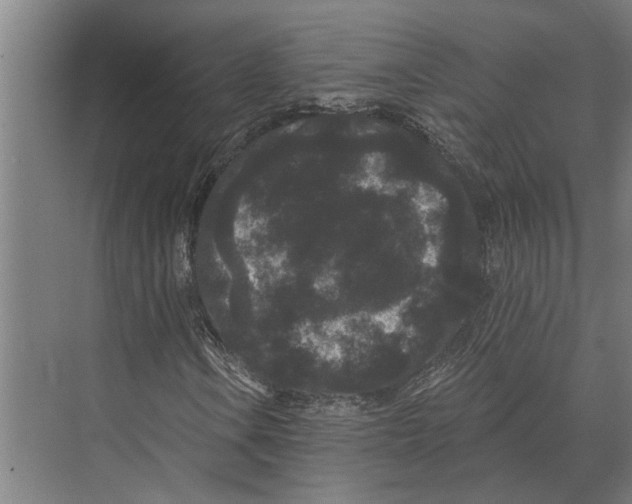 X0000074011106200609181827