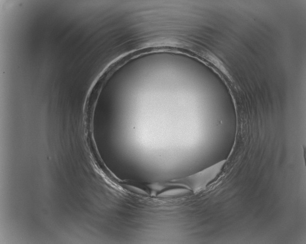 X0000074011116200609181827