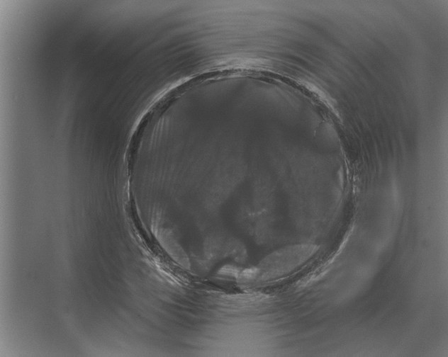 X0000074011117200609181827