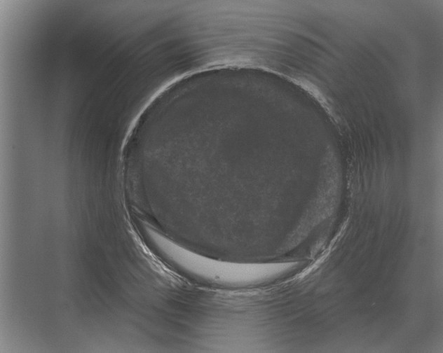 X0000074011118200609181827