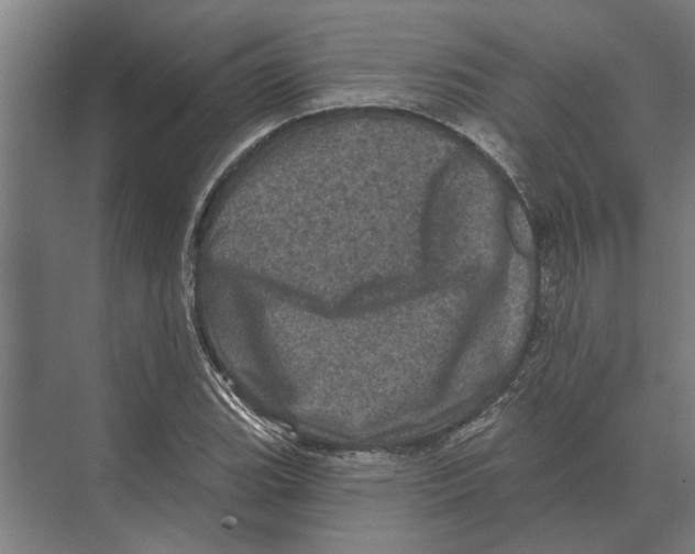 X0000074011119200609181827