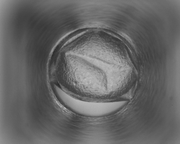 X0000074011120200609181827