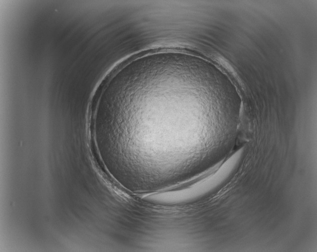 X0000074011124200609181827