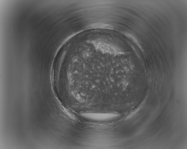 X0000074011125200609181827