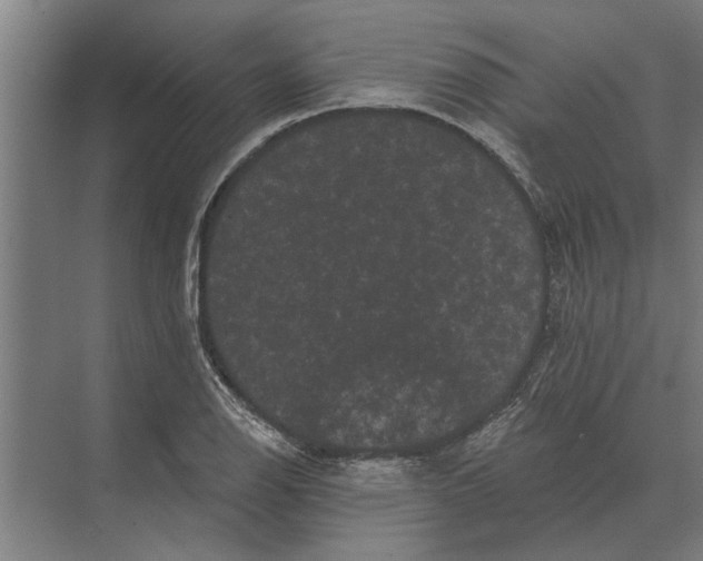 X0000074011126200609181827