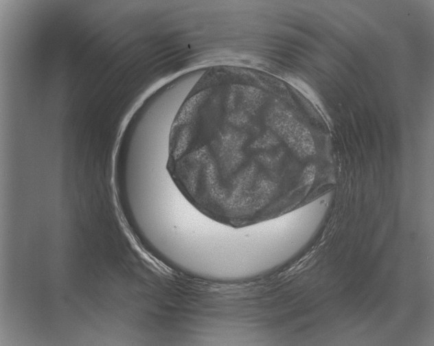 X0000074011128200609181827