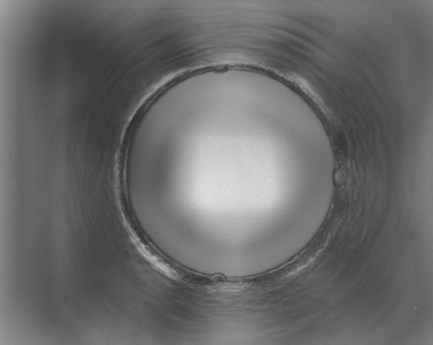 X0000074011134200609181827