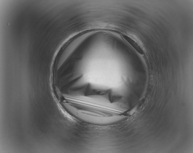 X0000074011136200609181827