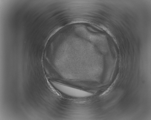 X0000074011137200609181827