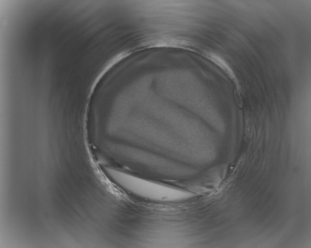 X0000074011138200609181827