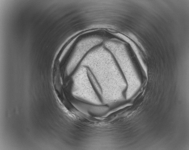 X0000074011140200609181827