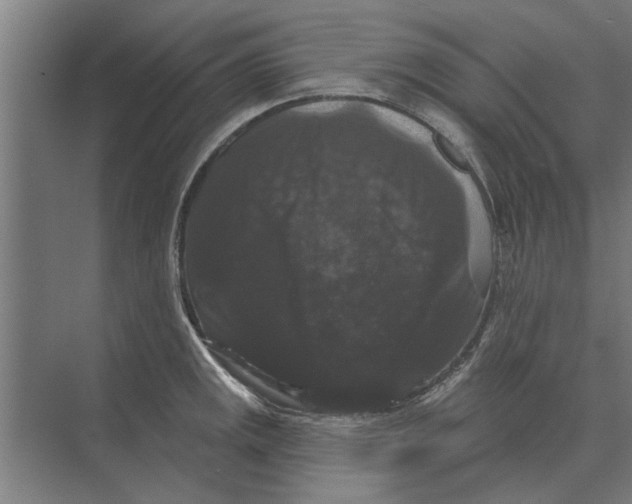 X0000074011141200609181827