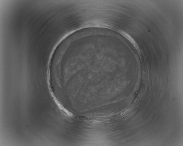 X0000074011144200609181827