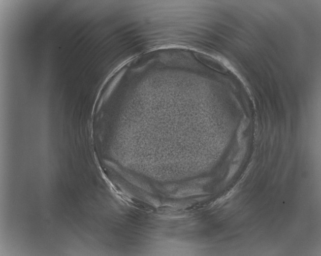 X0000074011145200609181827