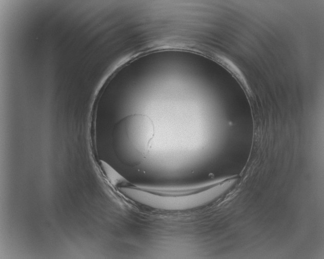 X0000074011146200609181827